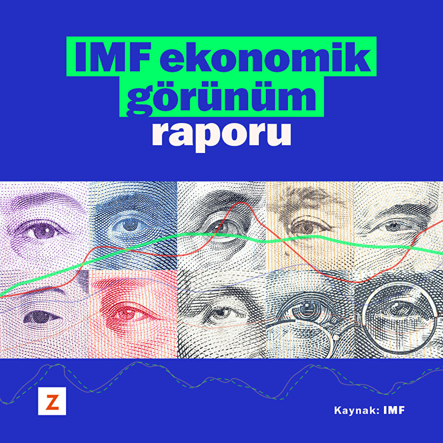 IMF ekonomik görünüm raporu