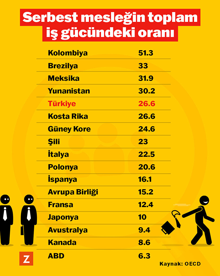 Serbest mesleğin toplam iş gücündeki oranı