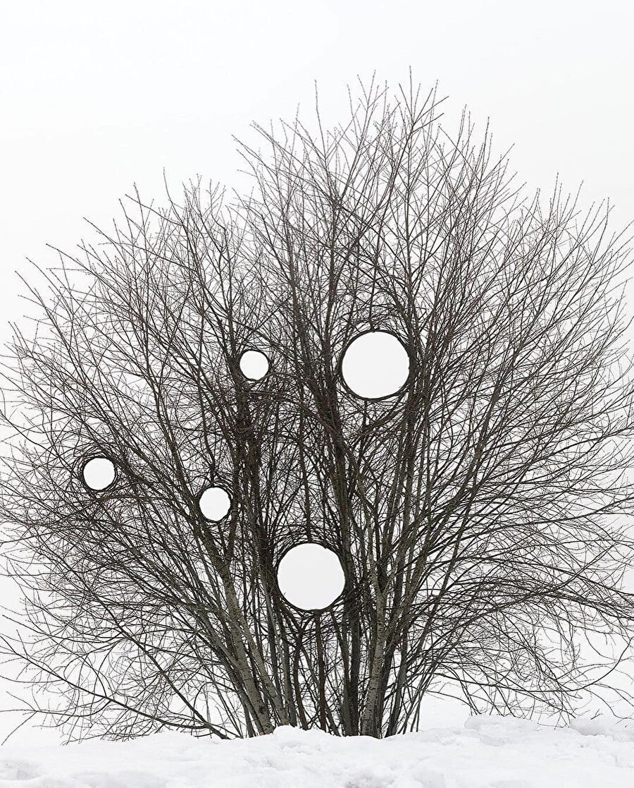 Tuvali İskandinavya ormanları olan sanatçı 