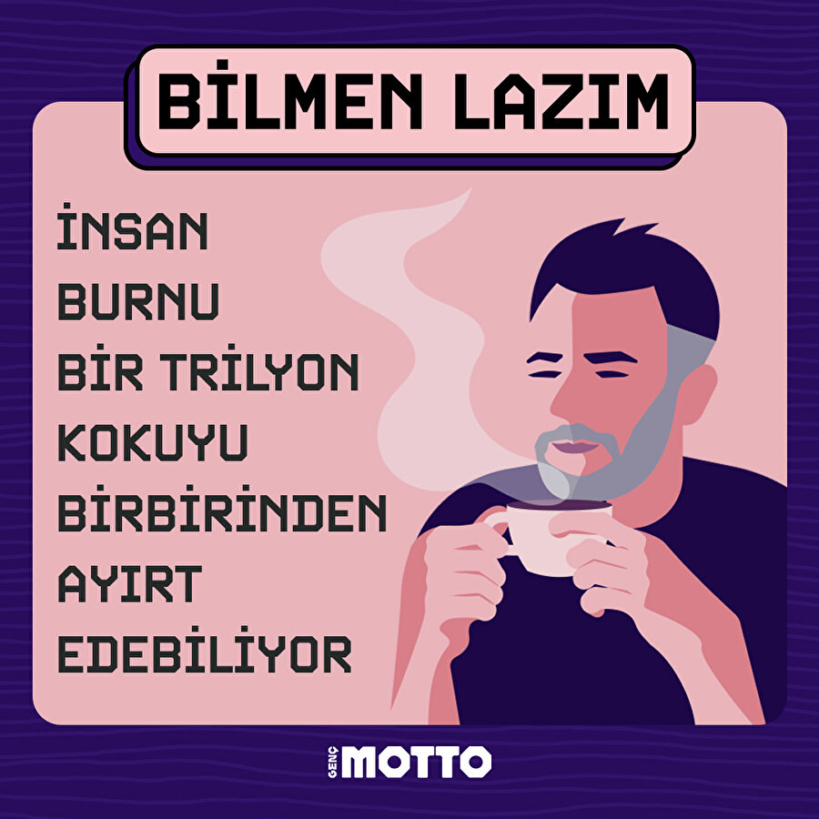 Burnumuz bir trilyon kokuyu ayırt edebiliyor 😳