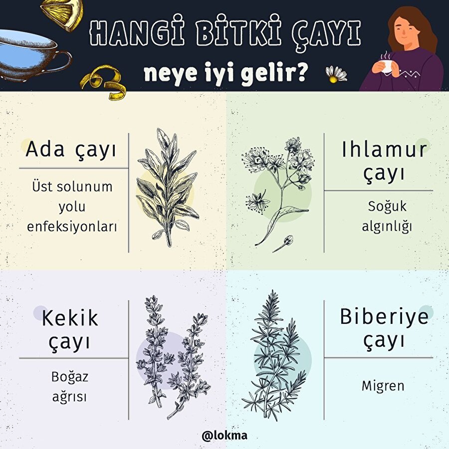 Bitki çayları neye iyi gelir?