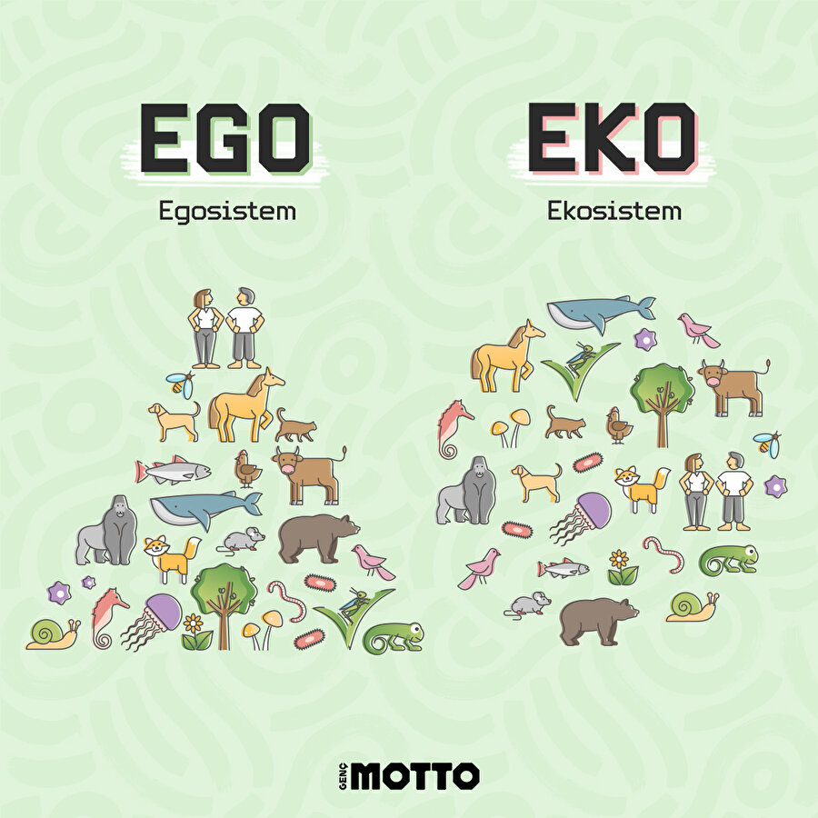 Egosistem ve ekosistem