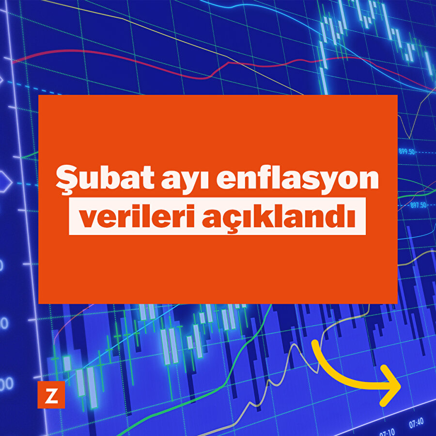 Şubat ayı enflasyon verileri açıklandı