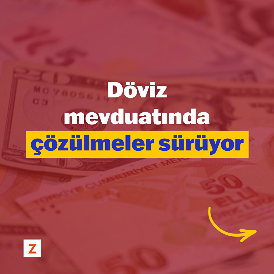 Döviz mevduatındaki çözülmeler sürüyor