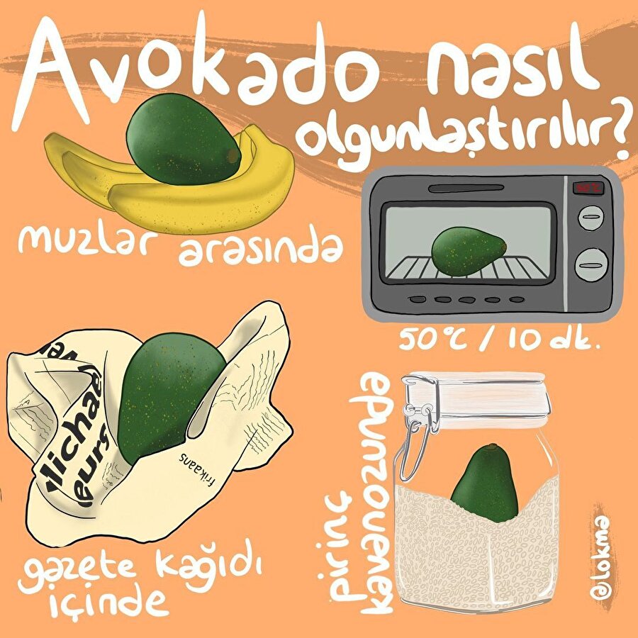 🥑Avokado nasıl olgunlatırılır?🥑