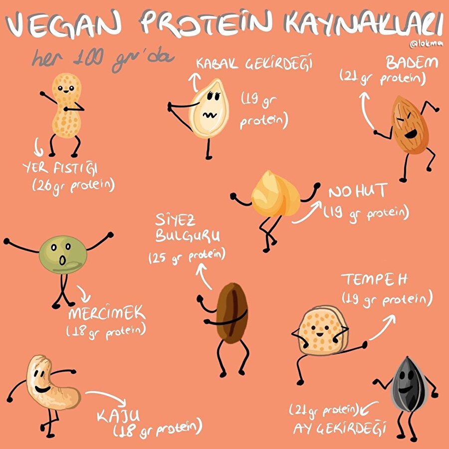 Vegan protein kaynakları🤩