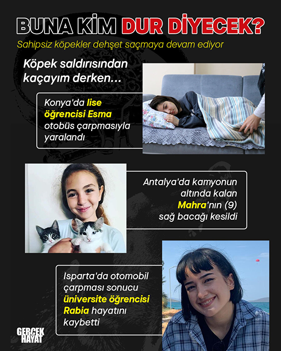 Köpek saldırıları nasıl duracak?