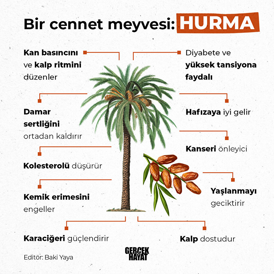 Tam bir şifa kaynağı