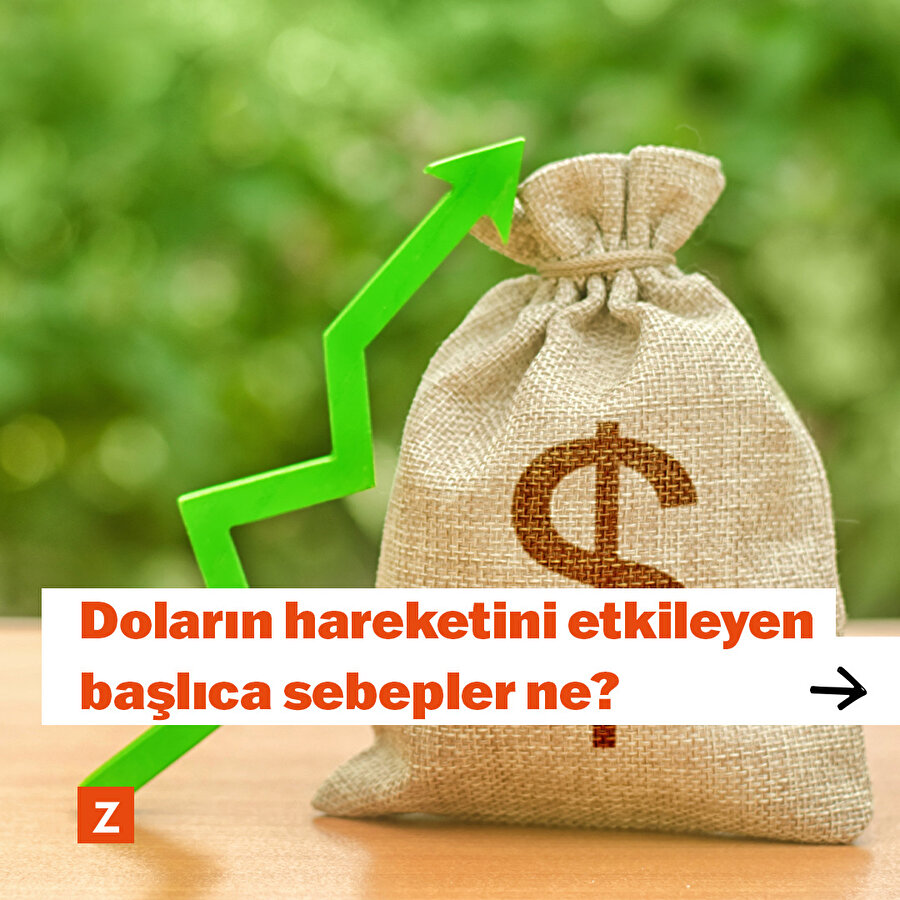 Doların hareketini etkileyen başlıca sebepler ne?