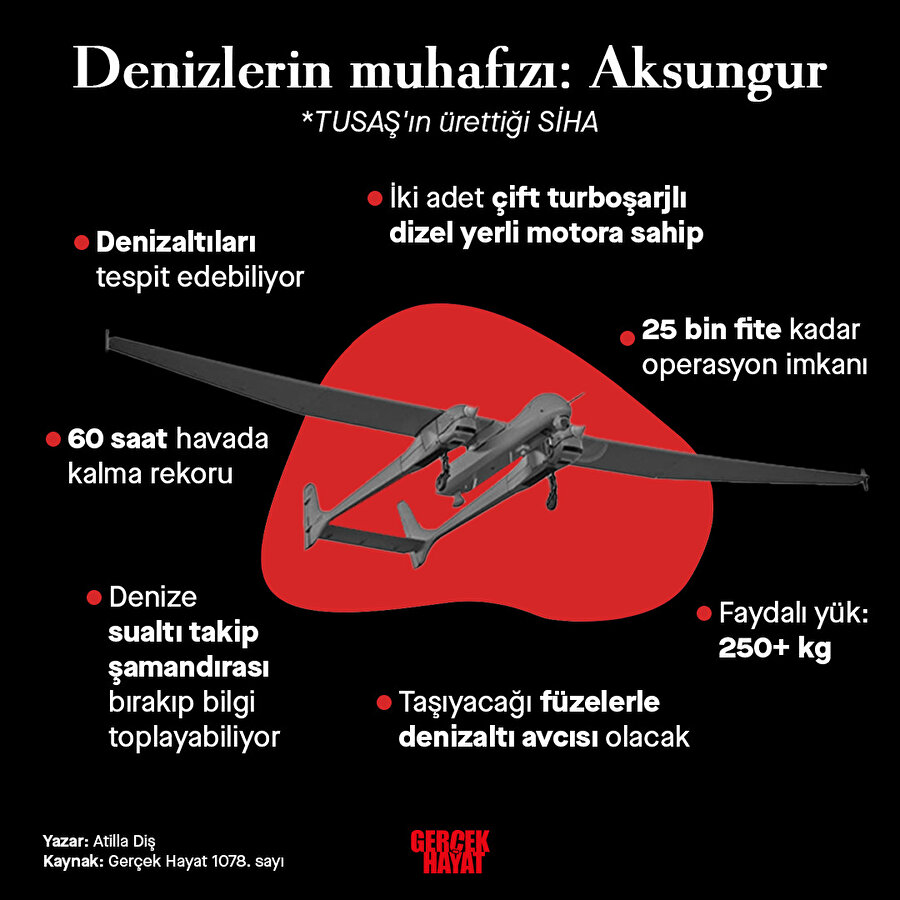 Aksungur'un özellikleri