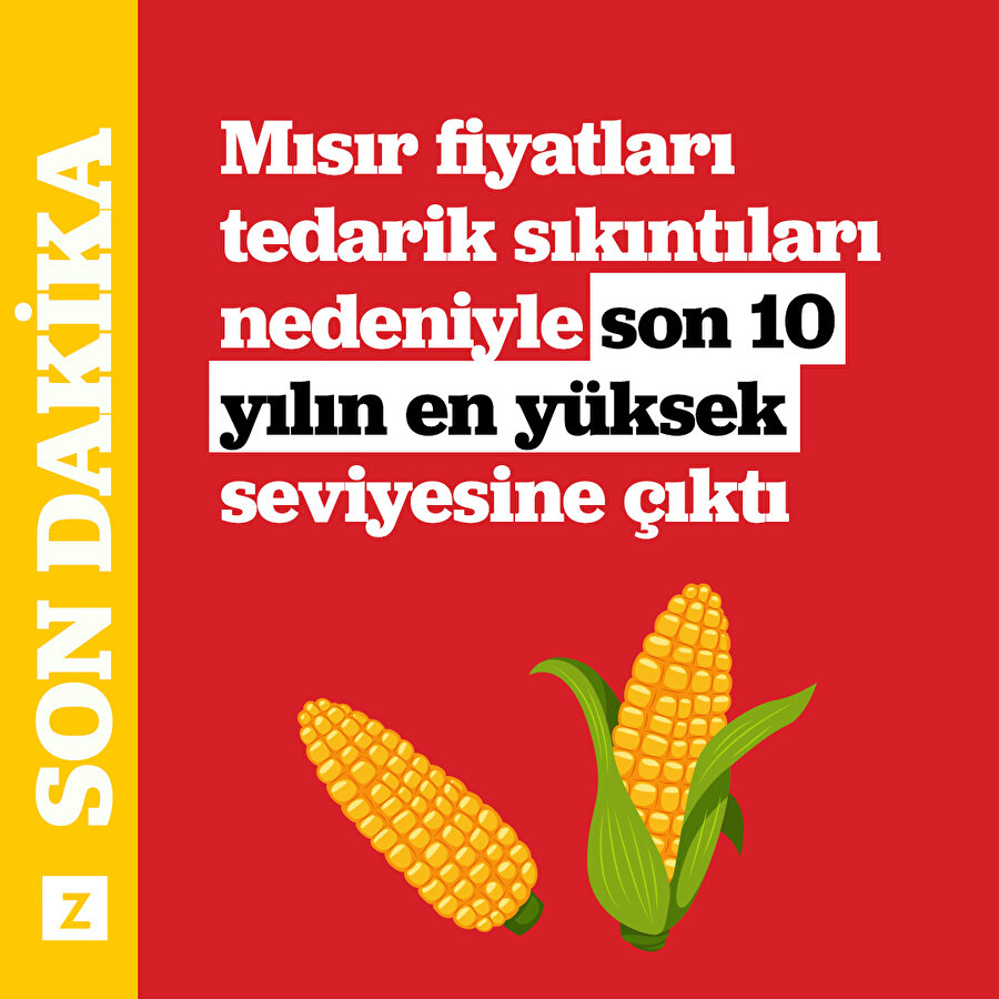 Mısır fiyatları, tedarik sıkıntıları nedeniyle son 10 yılın en yüksek seviyesine çıktı