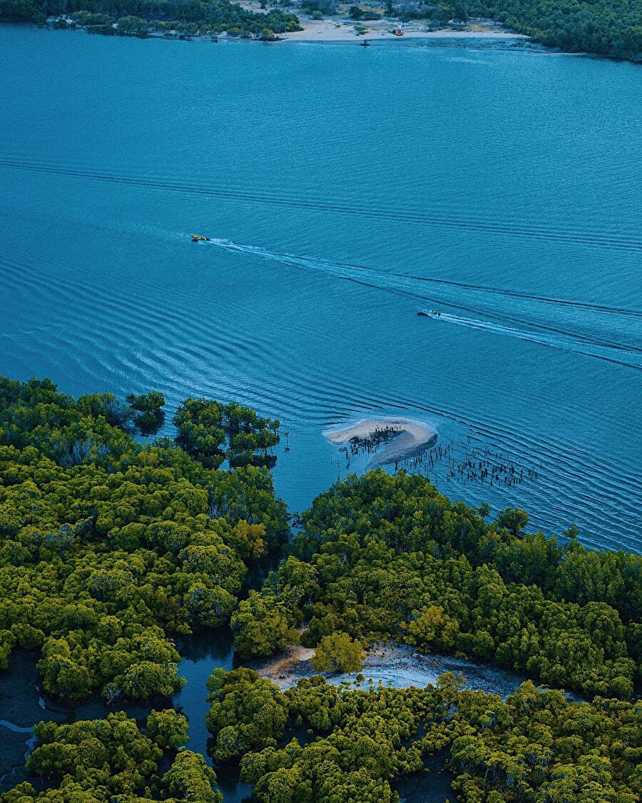 Afrika’daki en popüler turizm destinasyonlarından biri: Kenya 😍