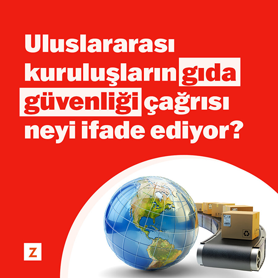 Uluslararası kuruluşların gıda güvenliği çağrısı neyi ifade ediyor?
