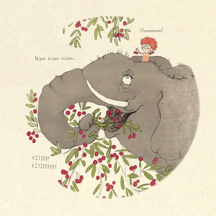 Hafızasını Kaybeden Fil 🐘