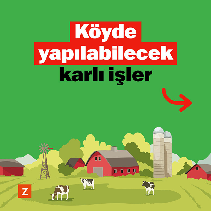 Köyde yapılabilecek karlı işler