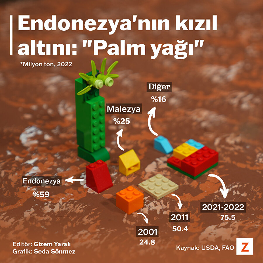 Endonezya'nın kızıl altını: Palm yağı