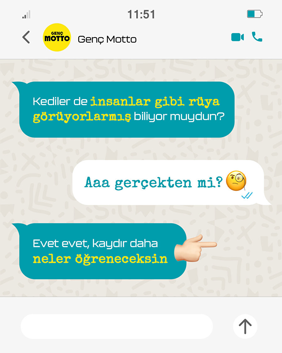 Kediler hakkında ne biliyoruz?