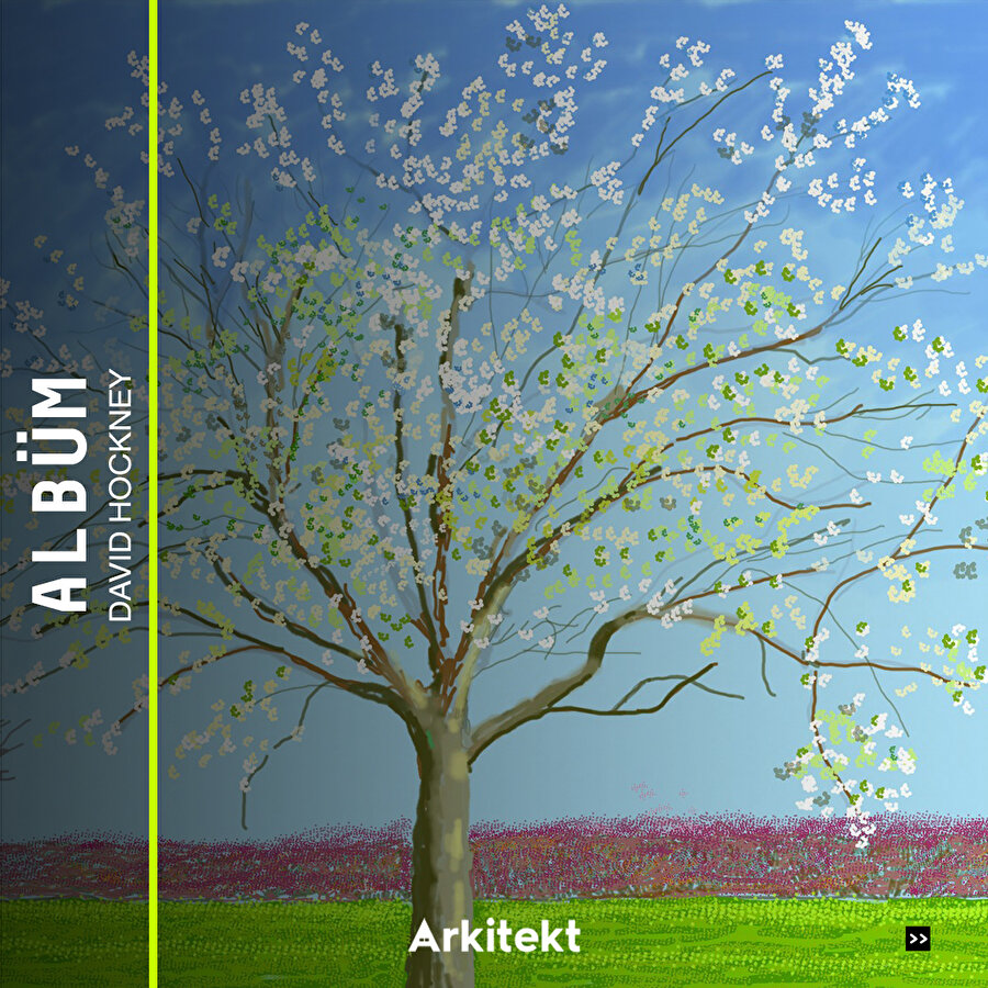  Albüm: David Hockney