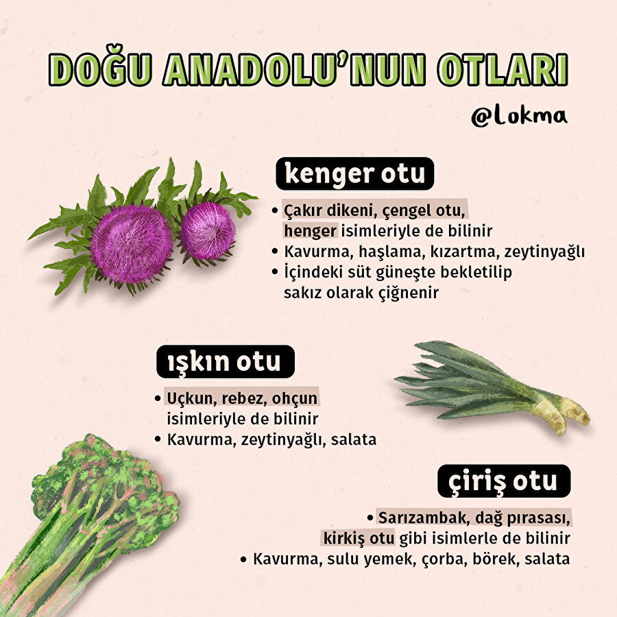 Doğu Anadolu'nun Otları 