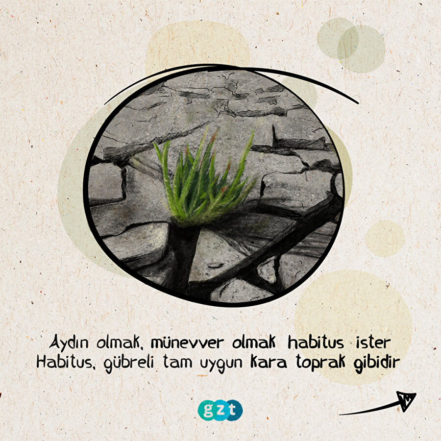 Alev Alatlı aydın olmanın sırlarını GZT'ye anlattı 