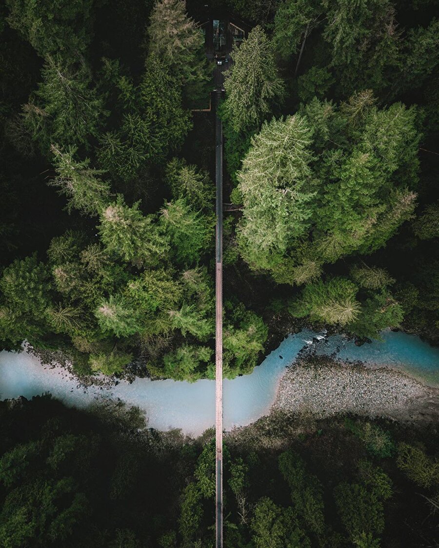 Asma köprüsüyle doğa harikası Capilano Parkı 🌲