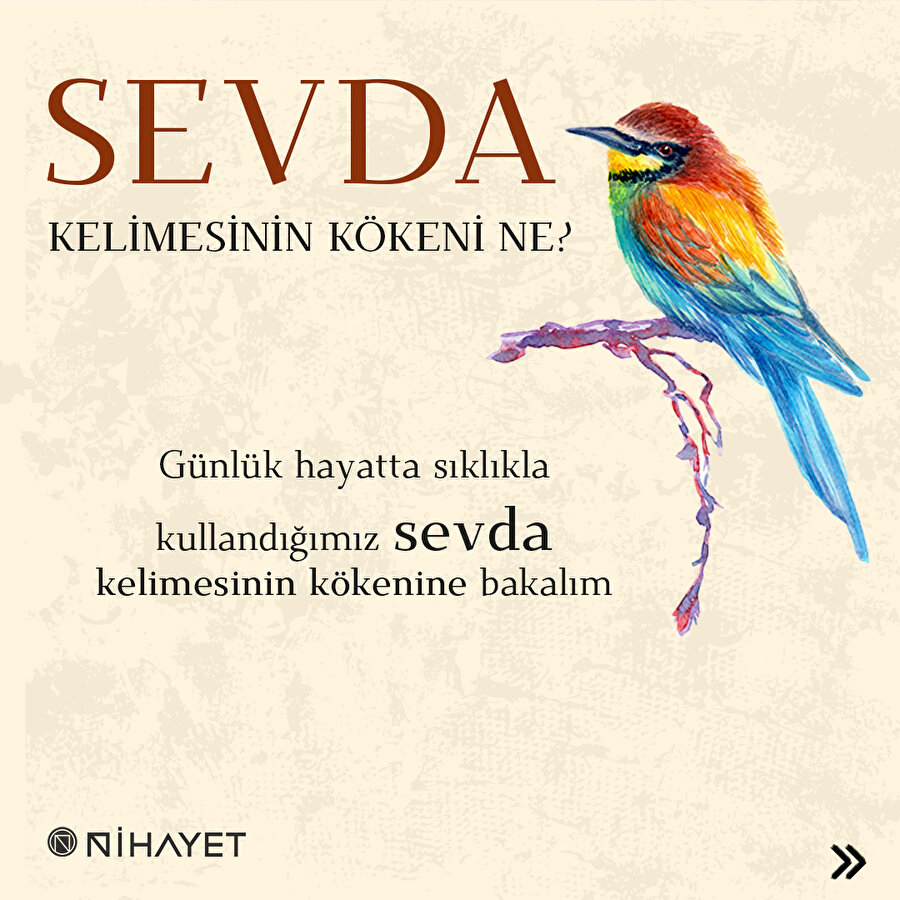 Sevda kelimesinin kökeni ne? 💭