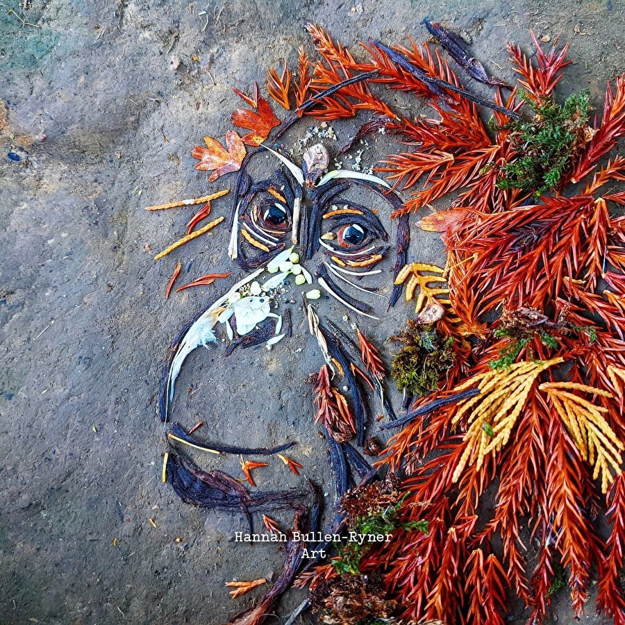 Kısa ömürlü sanatsal parçalar 🐵