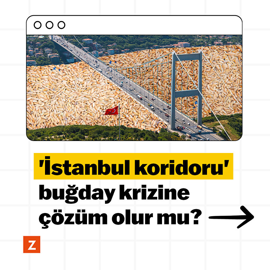 'İstanbul koridoru' buğday krizine çözüm olur mu?