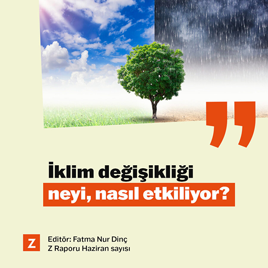 İklim değişikliği neyi, nasıl etkiliyor? 