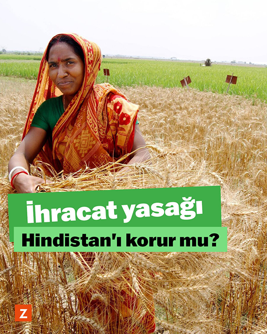 İhracat yasağı Hindistan'ı korur mu?