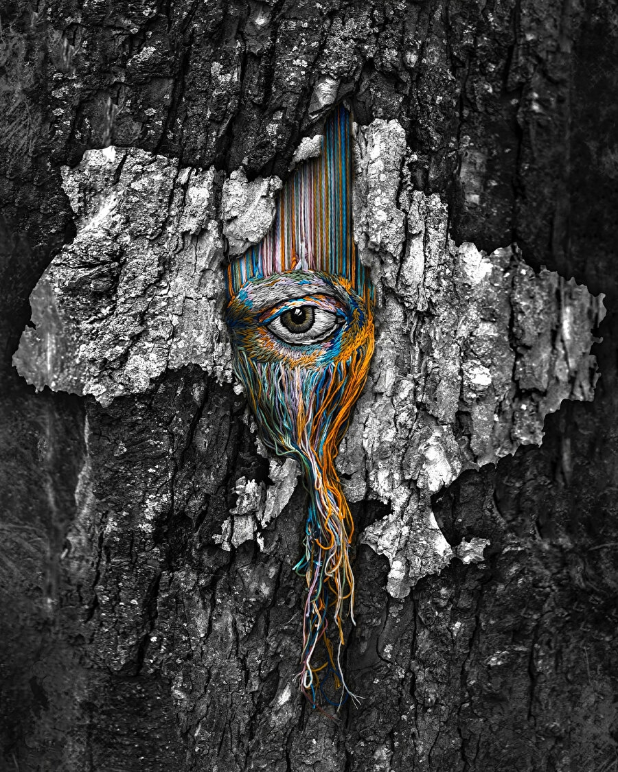 Ağaç oyuklarında dönüşen sanat... 