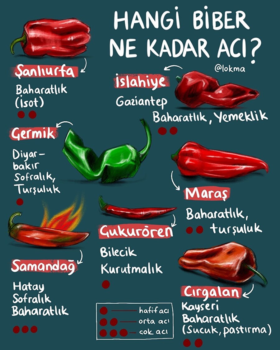 Hangi biber ne kadar acı?🔥