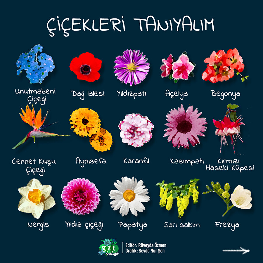 Tanımadığın çiçeği bu gönderiye sor 🌼