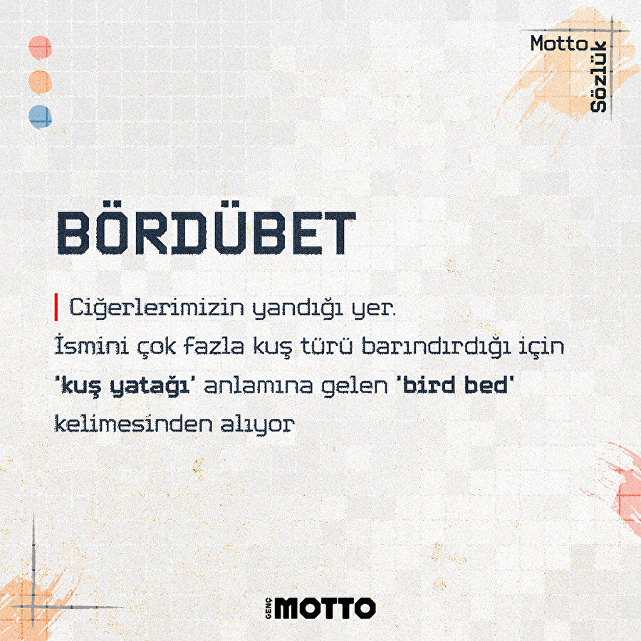 Ciğerlerimizin yandığı yer: Bördübet