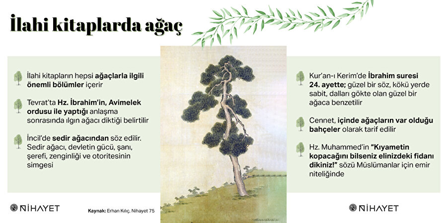 İlahi kitaplarda ağaç