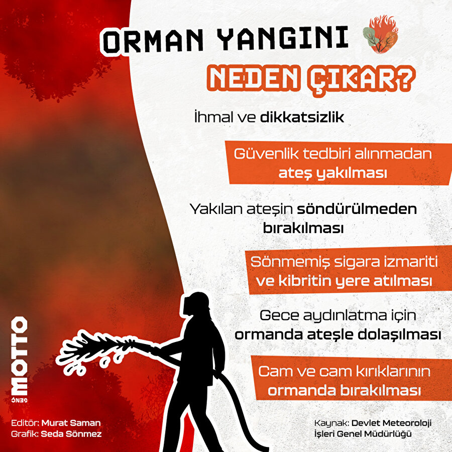 Orman yangını neden çıkar? 