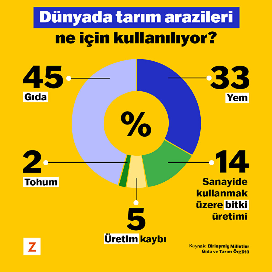 Dünyada tarım arazileri ne için kullanılıyor? 