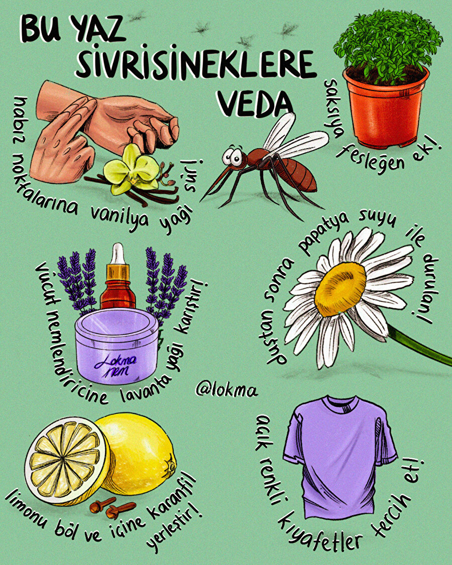 Sivrisineklere veda!🦟