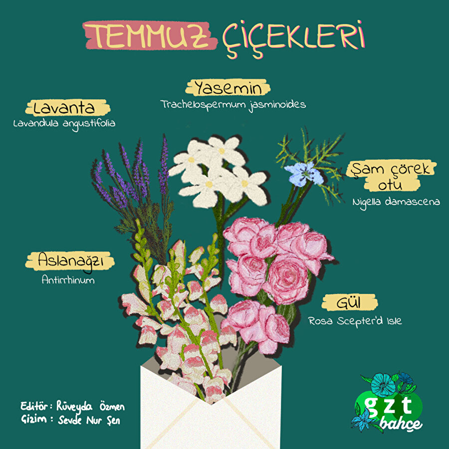 Hoşgeldin Temmuz! 🌸