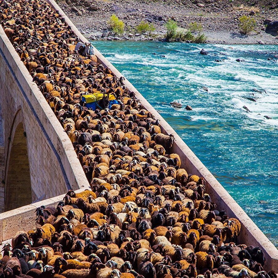 Murat Nehri üzerinde ilk kemerli köprü ✨