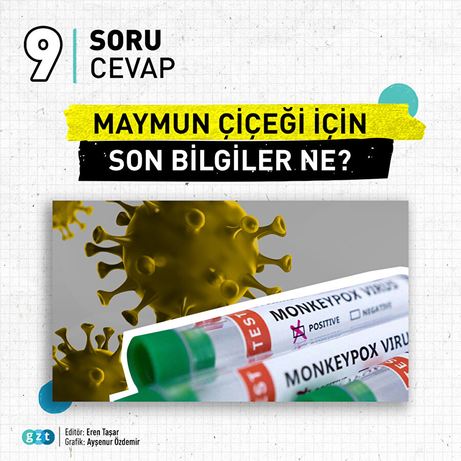 Maymun çiçeği hakkında 9 soru cevap
