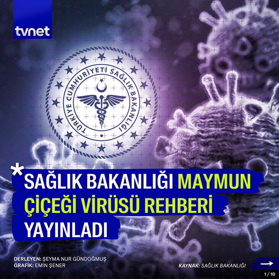 Sağlık Bakanlığı'ndan Maymun Çiçeği Virüsü Rehberi