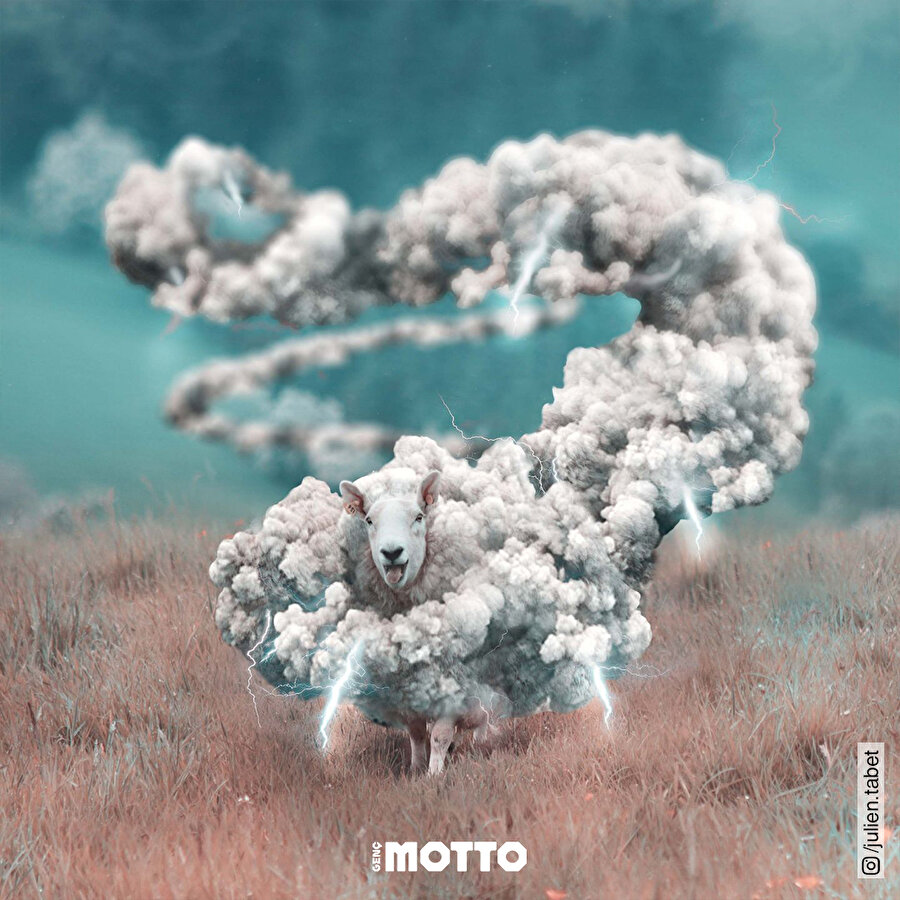 Doğa ve hayvanların muhteşem buluşması 😍