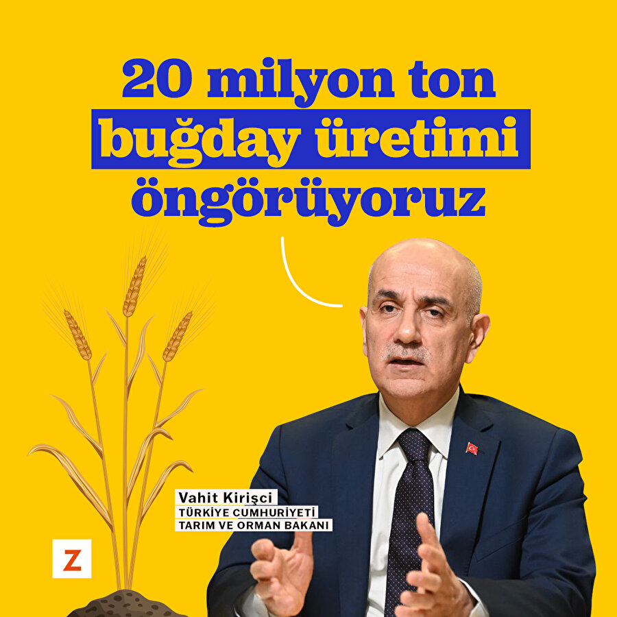 Buğday üretiminin 20 milyon tona çıkması bekleniyor
