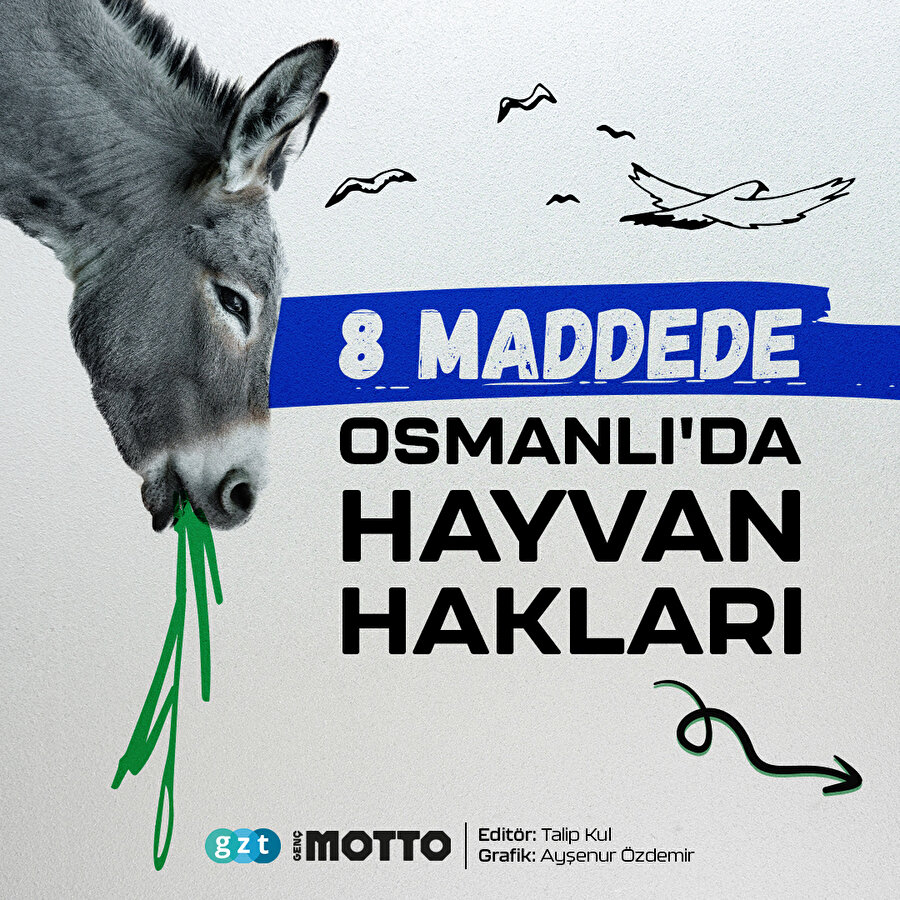 8 maddede Osmanlı'da hayvan hakları