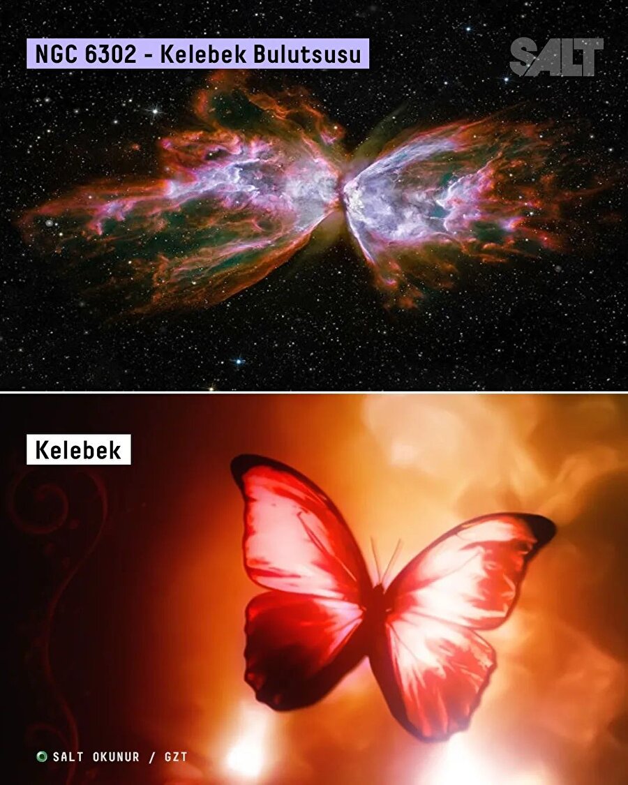 🌌Uzay ve Yaşam benzerliği