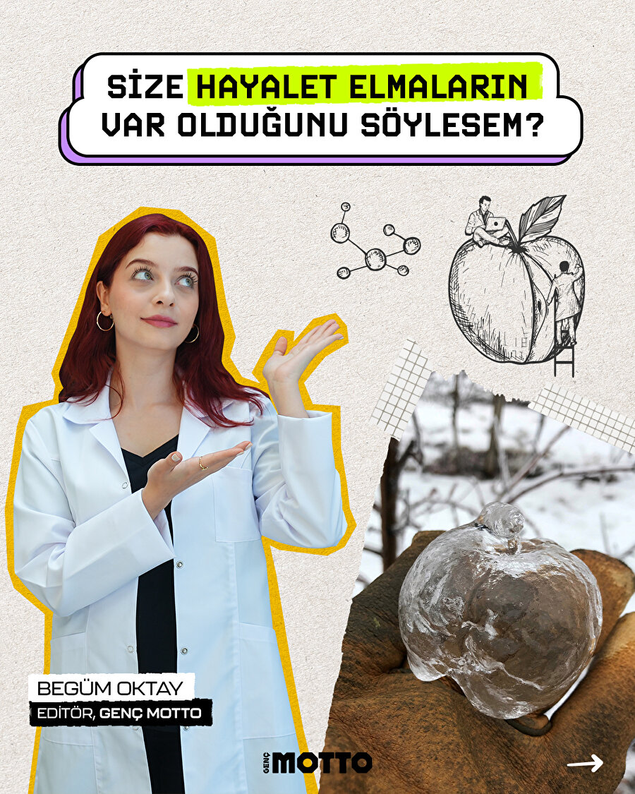 Hayalet elmaları duymuş muydunuz?