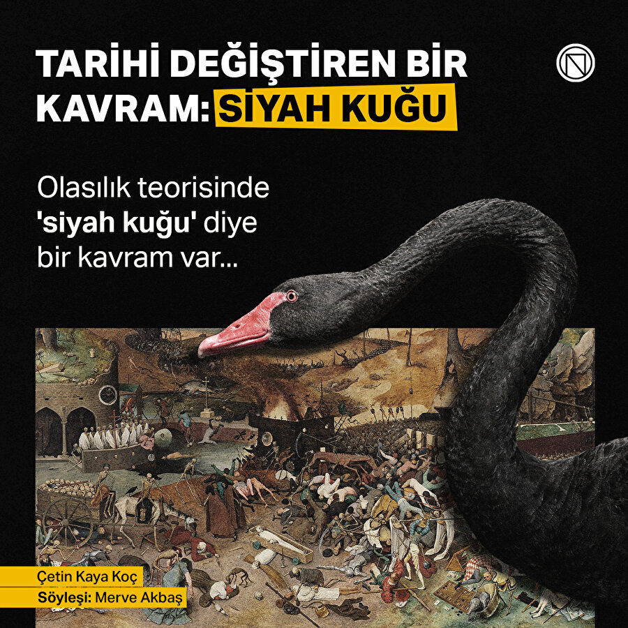Tarihi değiştiren bir kavram: Siyah kuğu