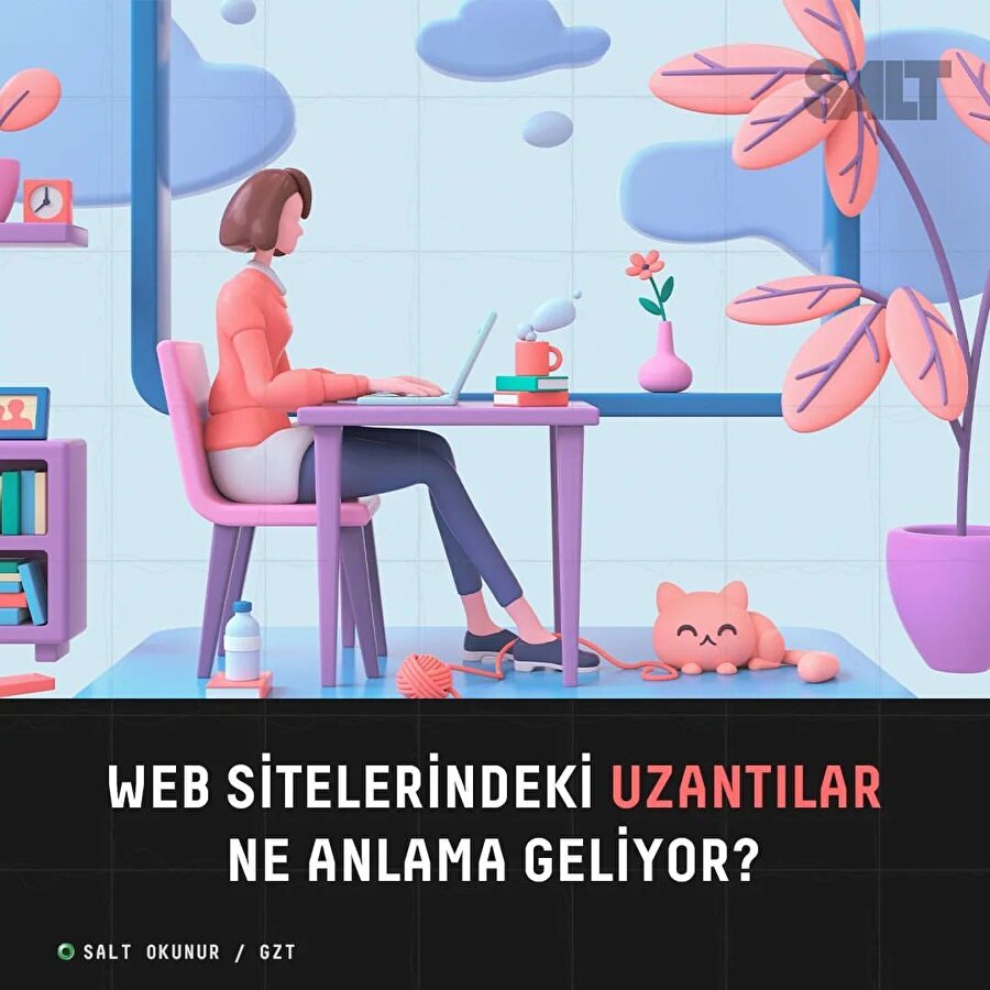 Web sitesi adreslerindeki farklı uzantılar ne anlama geliyor?