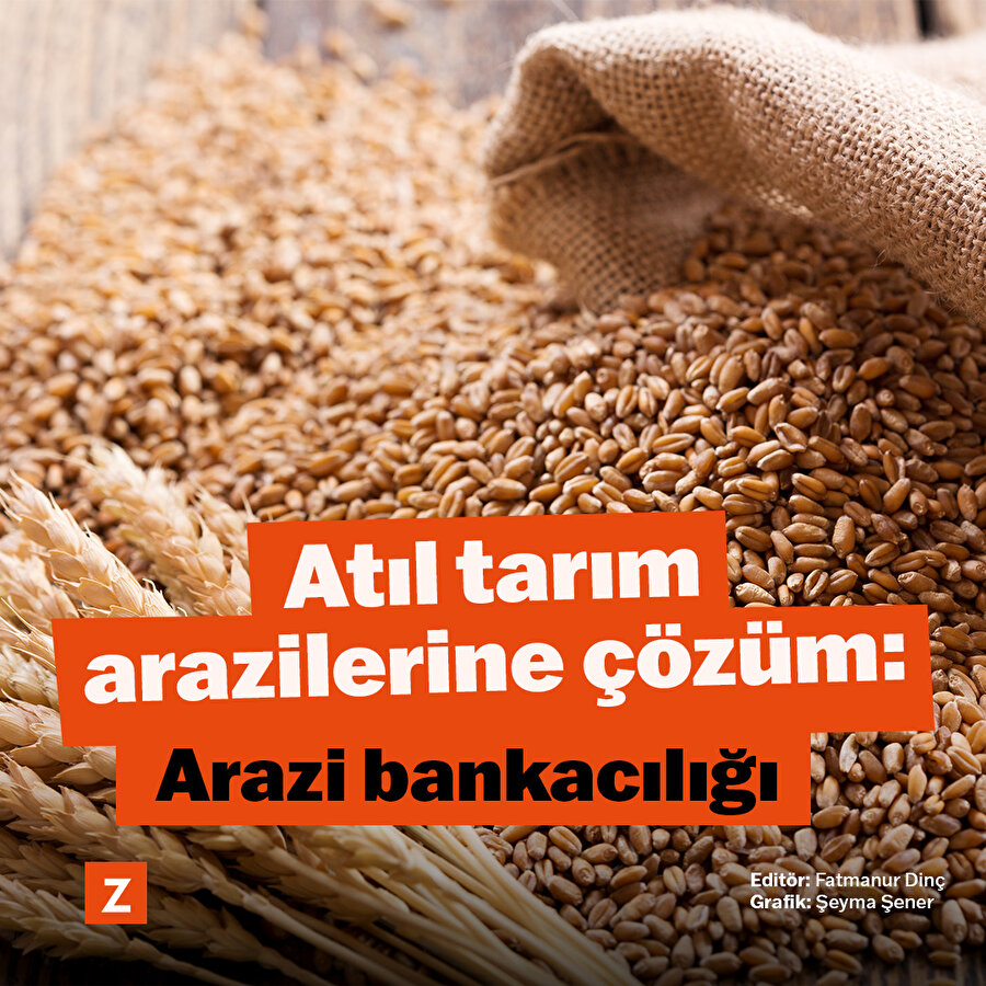 Atıl tarım arazilerine çözüm: Arazi bankacılığı